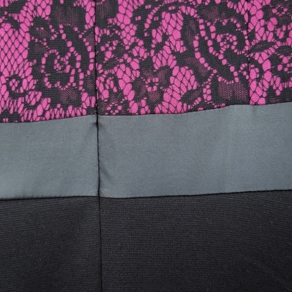 AA Studio Dress 10P Petite‎ Fit & Flare Magenta & Black Lace Gothic Cosplay - Picture 5 of 9